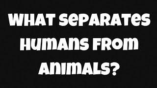 What Separates Humans From Animals?