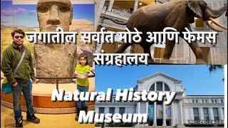 Natural History museum| World's largest and popular museum| Smithsonian's National Museum Washington