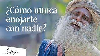 ¿Cómo nunca enojarte con nadie? │Sadhguru