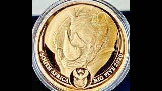 South Africa Big Five Gold Coin - The Rhino