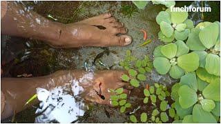 Dipping foot in the Guppy Tank