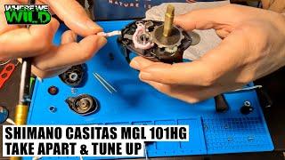 SHIMANO CASITAS MGL 101HG - Take Apart & Tune Up - Fishing Reel Maintenance