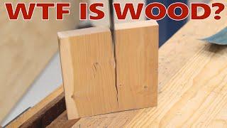 The Top 2 Most Important Wood Facts - Woodworking Basics