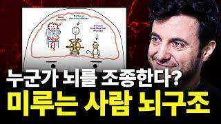 미루는 사람의 뇌는 이렇게 작동한다? 5,000만 조회수를 넘긴 테드 명강의ㅣ동기부여ㅣ자기계발ㅣ