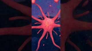 The Brain's paradox  #weirdscience