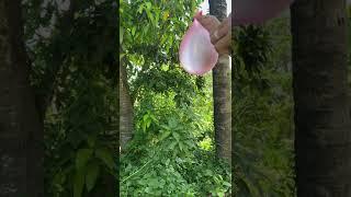 Pinky pink Water Balloon Trick #short