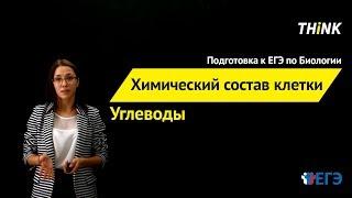 Химический состав клетки: Углеводы (3/4) | Подготовка к ЕГЭ по Биологии