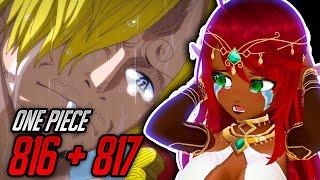 I WAS RIGHT! BUT IT HURTS!! | One Piece Episode 816/817 Reaction