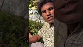 #vlog2024 #dripirrigation #farming #irrigationlife #narendravlog