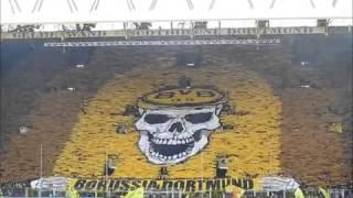 Torcida fanatica-Borussia