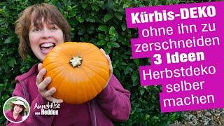 Easy Herbst Deko -  Kürbis mit Windlicht - OHNE den Kürbis zu zerschneiden. Ideen zum selber machen