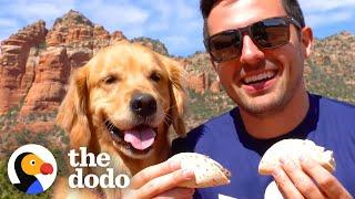 This Man and His Dog Are Pro Taste Testers | The Dodo Soulmates