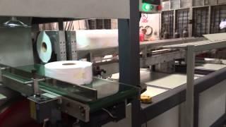 Automatic Industrial Paper Maxi Roll Cutting Machine