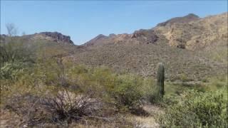 HIKING BOULDER CANYON TRAIL, APACHE JUNCTION, AZ (June 8, 2016)