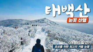 강원도 태백 여행 당일치기 - 눈꽃 산행과 한우 연탄구이 feat. 물닭갈비