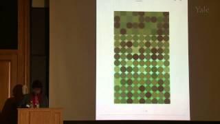 Color in Context: Revisiting Albers, with Anoka Faruqee