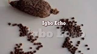 How to bless kola nut