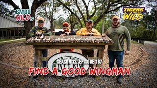 Bayou Wild [ep 167] FIND A GOOD WINGMAN | Tigers in the Wild | Bayou Wild Season 12 Full Episodes