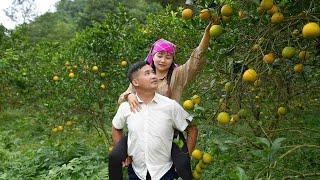 A day of complete happiness together: Engineer help single mother harvest orange go to market sell