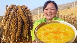 [Xia Jie in northern Shaanxi] Xia Jie's millet has a bumper harvest  threshing and threshing  and b