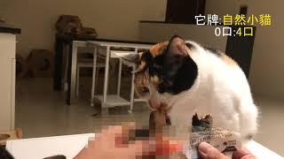 Natural Kitty 自然小貓 鮮零食試吃 vs 它牌