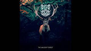 Walddertrauer - The Ancient Forest [Full Album] 2024