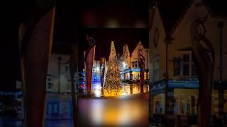 Daily @Lightroom Edit 320: Christmas Tree Amid The Beacons, Letchworth Garden City