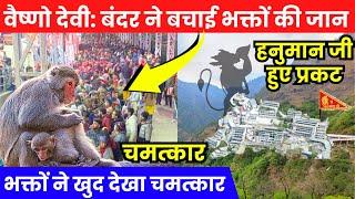 Vaishno Devi: बंदर ने बचाई भक्तों की जान | चमत्कार | Vaishno Devi Landslide | Katra | 05-09-2024