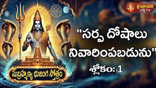 Subrahmanya Bhujanga Stotram 1 #astrology #subrahmanyaswamy #skanda | Sri Praveen sharma #svbtv