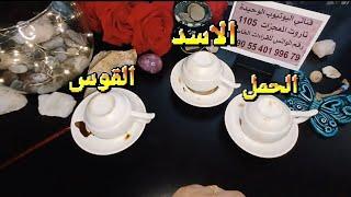 فنجان برج الحمل ،الاسد،القوس قراءة تفصيلية طاقة زمنية مفتوحه الابراج النارية اهم البشائر والتوقعات
