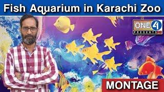 Fish Aquarium Montage| Largest Aquarium in Karachi Zoo | One4Presents | 2023