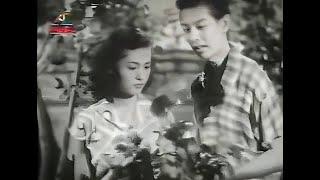 梨花一枝春帶雨 (1954年)