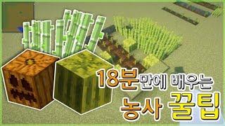 18분만에 배우는 농사 꿀팁 [마인크래프트]