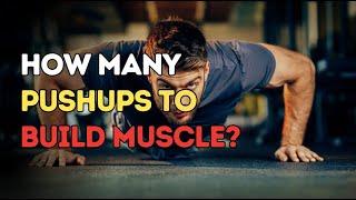 How Many Daily Pushups Will Build your Muscle?