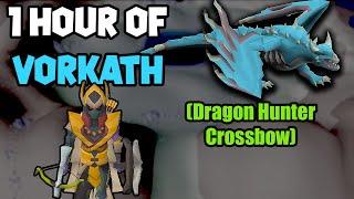 1 Hour of Vorkath (DHCB) | OSRS Vorkath Examples