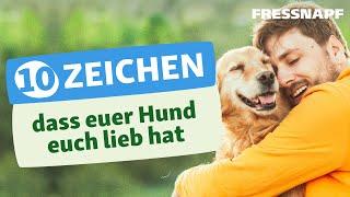 Liebt mein Hund mich? So findest Du es heraus! | Verhalten | FRESSNAPF