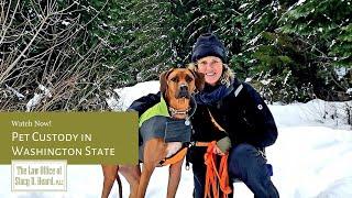Pet Custody in Washington State