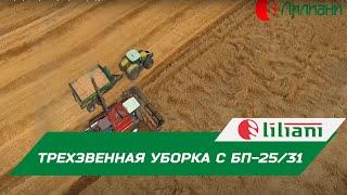 Бункер перегрузчик Лилиани на трехзвенной уборке зерна в ООО КУРГАНОВСКИЙ