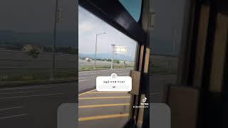 제주여행. 오늘은 어디가나요? #shorts #토르기사