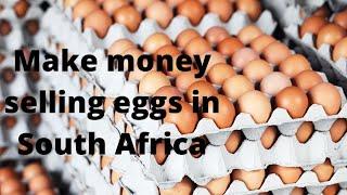 How to start a successful egg business in South Africa