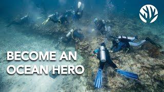 Become an Ocean Hero: How to Get Involved with Coral Restoration