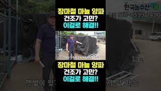 [한국농수산TV] 장마철 마늘 양파 건조고민? 차압식 건조기로 고민 해결