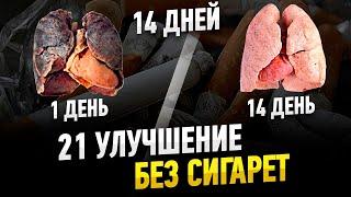 21 УЛУЧШЕНИЕ БЕЗ СИГАРЕТ ЗА 14 ДНЕЙ