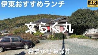 海鮮料理 文らく丸 2024/12 おまかせ海鮮丼(ご飯半分) 1980円。