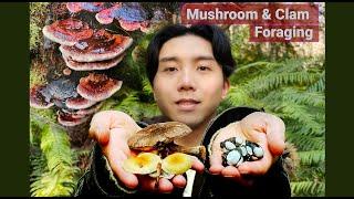 Living In Seattle - Mushroom & Lake Clam Foraging Hike!