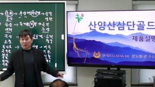 산양산삼단골드 탄생 배경 | 20241105