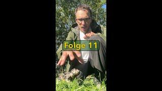 Folge 11- Safari Tour...