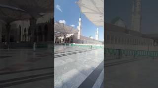 Allah sab ko Madina ley jaey || #live #madina #masjidnabawi #shorts