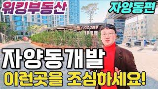 서울 광진구 자양동 분석 투자 해야할 곳 말아야할 곳은 여기 - 워킹부동산