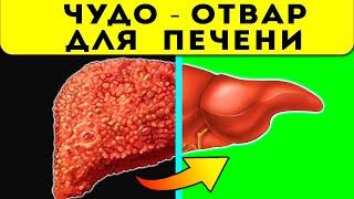 Сказали: жить осталось 1,5 месяца! Запущенный цирроз полностью отступил после ежедневного приёма…